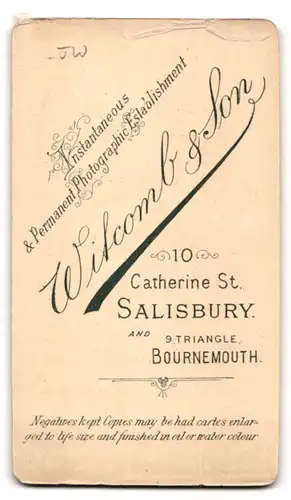 Fotografie Witcomb & Son, Salisbury, 10, Catherine St., Portrait junge Dame im Kleid mit Kragenbrosche