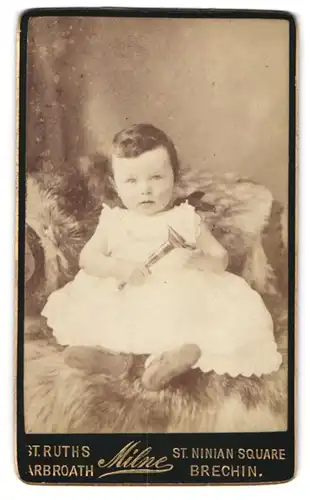 Fotografie Milne, Brechin, St. Ninian Square, Portrait kleines Mädchen im weissen Kleid mit Tröte