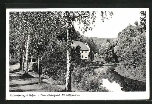 AK Altensteig i. Schw., Am Kurhaus Waldfrieden