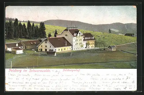 AK Feldberg /Schwarzwald, Hotel Feldbergerhof