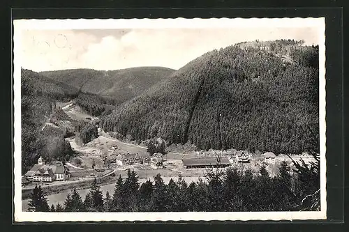 AK Bad Teinach, Ortsansicht vom Berge aus