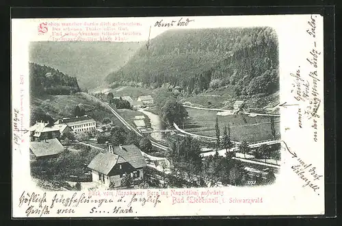 AK Bad Liebenzell, Blick vom Monakamer Berg ins Nagoldtal