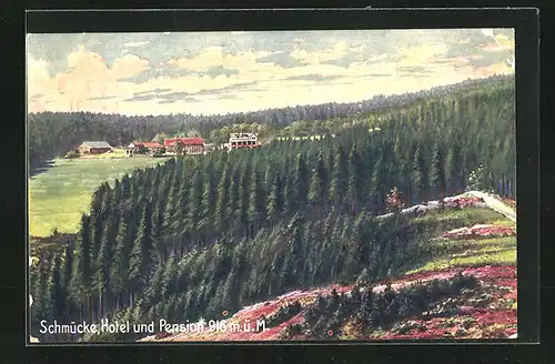 Künstler-AK Schmücke, Hotel und Pension im Wald