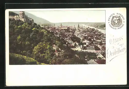 AK Heidelberg, Ortsansicht mit Ruine