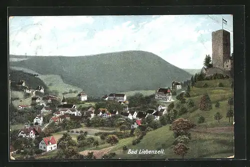 AK Bad Liebenzell, Panorama