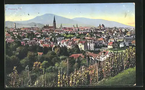 AK Freiburg i /B., Teilansicht mit Kirche