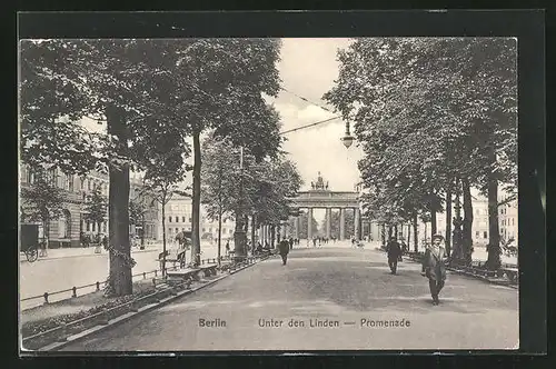 AK Berlin, Unter den Linden, Promenade, Brandenburger Tor