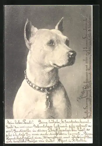 Künstler-AK Carl Reichert: Weisse Dogge mit Halsband