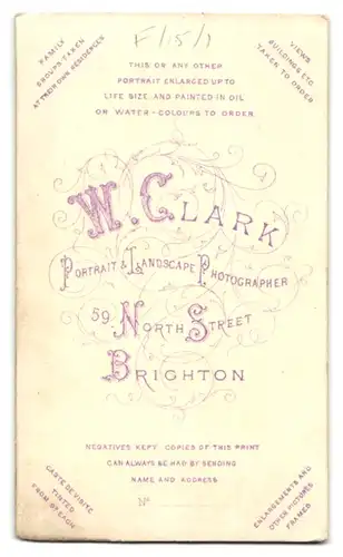 Fotografie W. Clark, Brighton, 59 North Street, Portrait stattlicher junger Mann mit Vollbart im eleganten Anzug