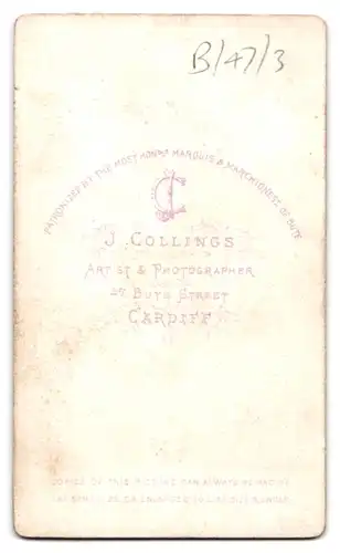 Fotografie J. Collings, Cardiff, 47 Bute Street, Portrait stattlicher Herr mit Lincolnbart im Anzug