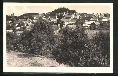 AK Mlada Vozice, Celkový pohled