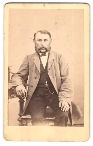 Fotografie Franz Meyer, Schwedt a. O., Portrait stattlicher Herr mit Bart im Jackett