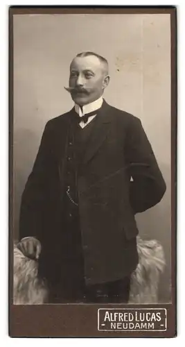 Fotografie Alfred Lucas, Neudamm, Portrait stattlicher Herr mit Schnurrbart im Anzug