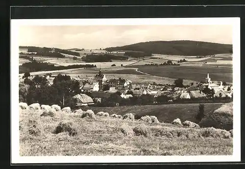 AK Sedlcany, Celkový pohled