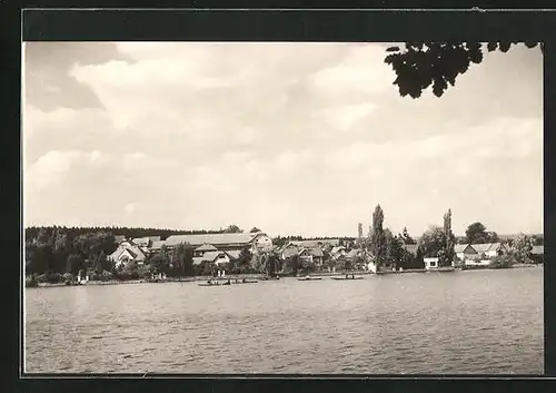 AK Jevany, Panorama vom Wasser aus gesehen