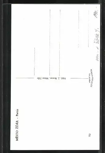 AK Mesto Zdár, Partie