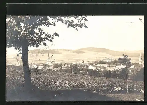 AK Nové Mesto na Morave, Celkový pohled