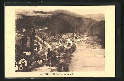 AK Altensteig / Schwarzwald, Panorama