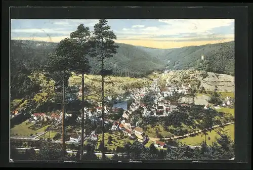 AK Bad Liebenzell, Gesamtansicht