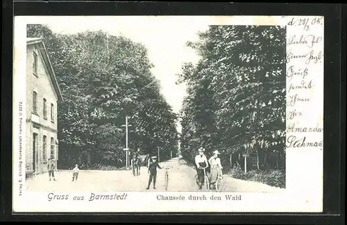AK Barmstedt, Chaussee durch den Wald, Radfahrer