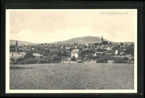 AK Miesenheim, Panoramablick von der Bergwiese