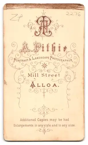 Fotografie A. Pithie, Alloa, Mill Street, Portrait charmanter junger Mann im eleganten Jackett