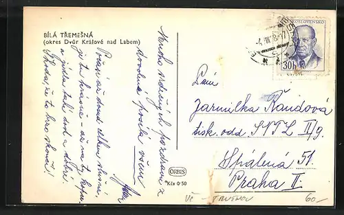 AK Bílá Tremesná, Celkový pohled