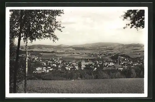 AK Hronov n. Met., Celkový pohled