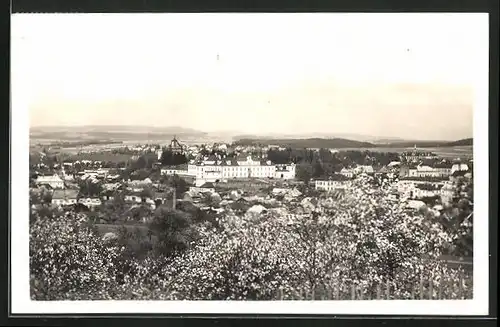 AK Rychnov n. Kn., Celkový pohled