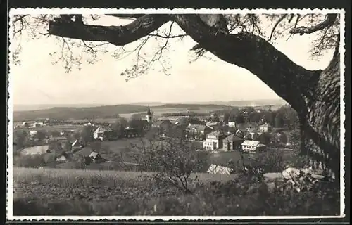 AK Rokitnitz / Rokytnice v Orlickych Horach, Celkový pohled