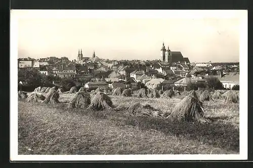 AK Jihlava, Gesamtansicht