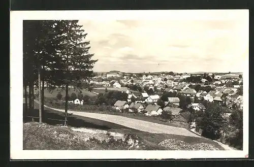 AK Bystrice nad Pernstejnem, Celkový pohled