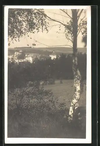AK Kamenice nad Lípou, Celkový pohled