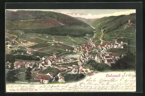 AK Liebenzell, Generalansicht der Stadt im Tal