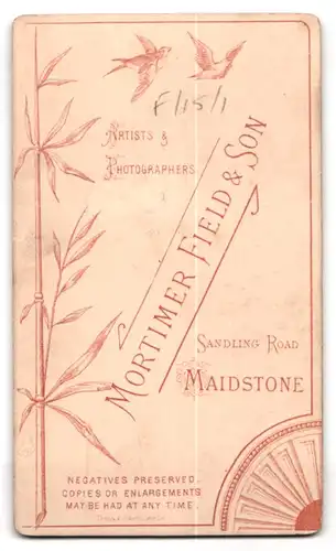 Fotografie Mortimer Field & Son, Maidstone, Sandling Road, Portrait junge Dame in zeitgenössischer Kleidung