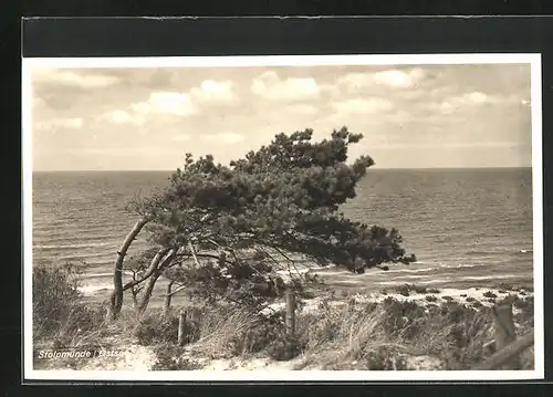 AK Stolpmünde, Blick auf Ostsee