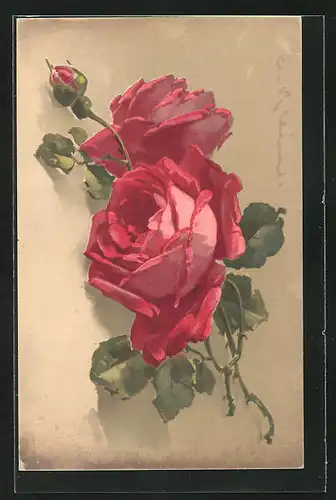 Künstler-AK Catharina Klein: Rote Rosen mit Knospe