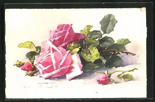 Künstler-AK Catharina Klein: Blühende rosa Rosen