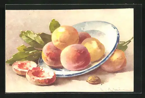 Künstler-AK Catharina Klein: Pfirsiche auf einem Teller