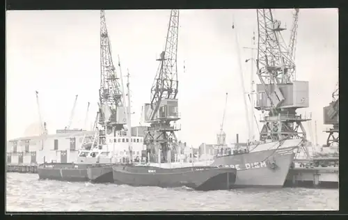 Fotografie Frachtschiff Carpe Diem im Hafen