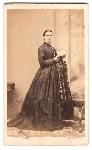 Fotografie A. W. Wills, Taunton, 65, East Street, Portrait junge Dame im langen Kleid mit Buch