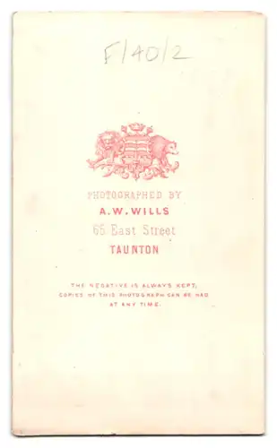 Fotografie A. W. Wills, Taunton, 65, East Street, Portrait junge Dame im langen Kleid mit Buch