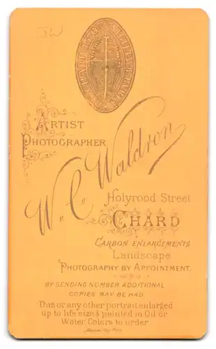 Fotografie W. C. Waldron, Chard, Holyrood Street, Portrait elegante Dame mit Kragenbrosche und Amulett