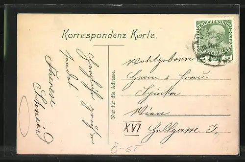 AK Leoben, Blick vom Fluss auf die Stadt