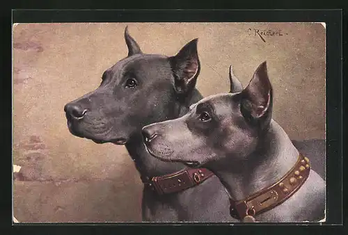 Künstler-AK Carl Reichert: Zwei Doggen mit Halsbändern