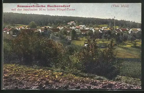 AK Burkersdorf /Thür. Wald, Teilansicht