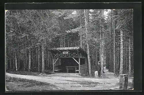 AK Freudenstadt, Wildhütte Palmenwald