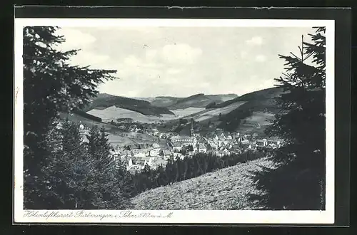 AK Furtwangen / Schwarzwald, Panorama mit Ort