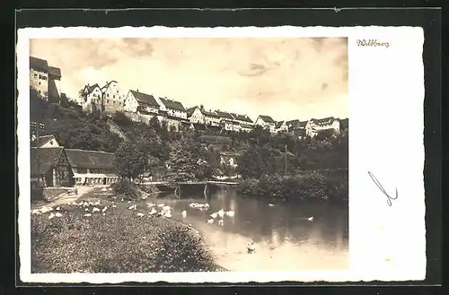AK Wildberg, Stadt- und Uferpartie