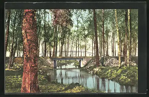 AK Oberpahlen, Waldstück mit Flusspartie und Brücke